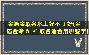 金箔金取名水土好不 ☘ 好(金箔金命 🪴 取名适合用哪些字)